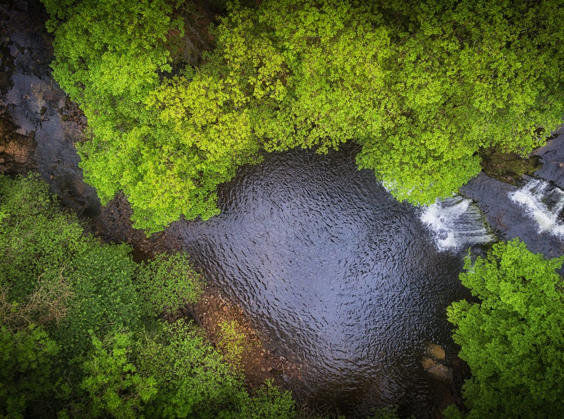 Social Care and Health